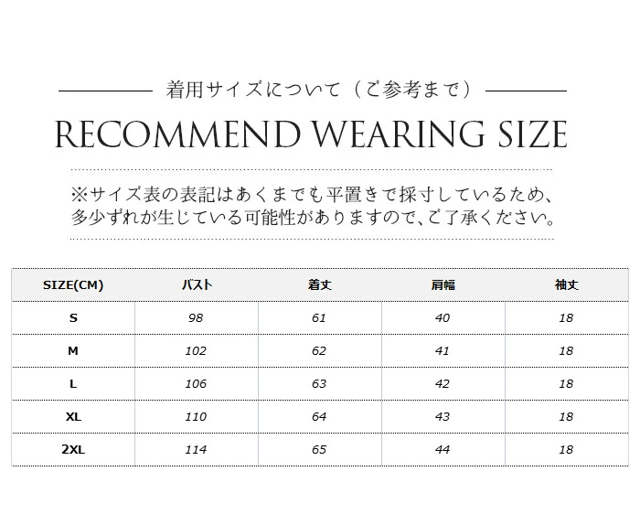 バックプリーツ 半袖 ブラウス レディース リネン バックフリル シャツ 無地 プリーツ Tシャツ ani5032